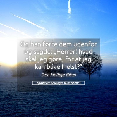 Picture 05 - Apostlenes Gerninger 16:30 DA1871 - Og han førte dem udenfor og sagde: „Herrer! - Bible Verse Picture