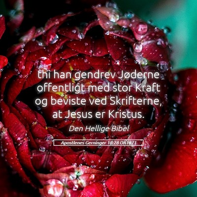 Picture 05 - Apostlenes Gerninger 18:28 DA1871 - thi han gendrev Jøderne offentligt med stor - Bible Verse Picture