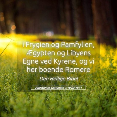 Picture 05 - Apostlenes Gerninger 2:10 DA1871 - i Frygien og Pamfylien, Ægypten og Libyens Egne - Bible Verse Picture