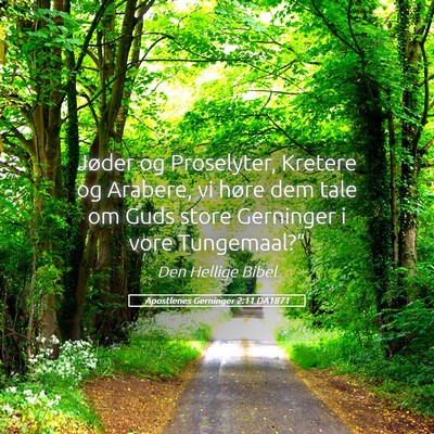 Picture 05 - Apostlenes Gerninger 2:11 DA1871 - Jøder og Proselyter, Kretere og Arabere, vi - Bible Verse Picture