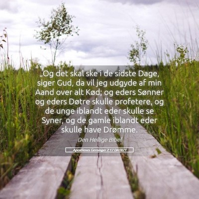 Picture 05 - Apostlenes Gerninger 2:17 DA1871 - „Og det skal ske i de sidste Dage, siger Gud, - Bible Verse Picture