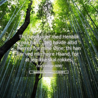 Picture 05 - Apostlenes Gerninger 2:25 DA1871 - Thi David siger med Henblik paa ham: „Jeg havde - Bible Verse Picture
