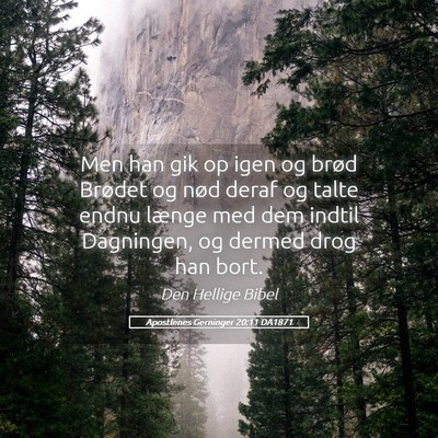 Picture 05 - Apostlenes Gerninger 20:11 DA1871 - Men han gik op igen og brød Brødet og nød - Bible Verse Picture