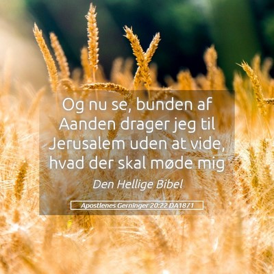 Picture 05 - Apostlenes Gerninger 20:22 DA1871 - Og nu se, bunden af Aanden drager jeg til - Bible Verse Picture