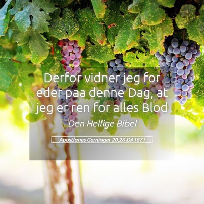 Picture 05 - Apostlenes Gerninger 20:26 DA1871 - Derfor vidner jeg for eder paa denne Dag, at jeg - Bible Verse Picture