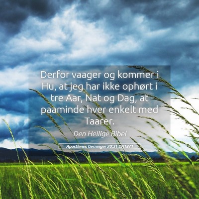 Picture 05 - Apostlenes Gerninger 20:31 DA1871 - Derfor vaager og kommer i Hu, at jeg har ikke - Bible Verse Picture