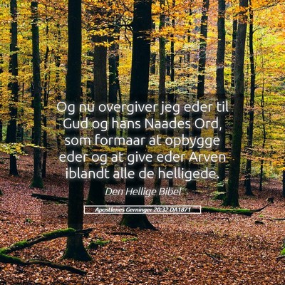 Picture 05 - Apostlenes Gerninger 20:32 DA1871 - Og nu overgiver jeg eder til Gud og hans Naades - Bible Verse Picture