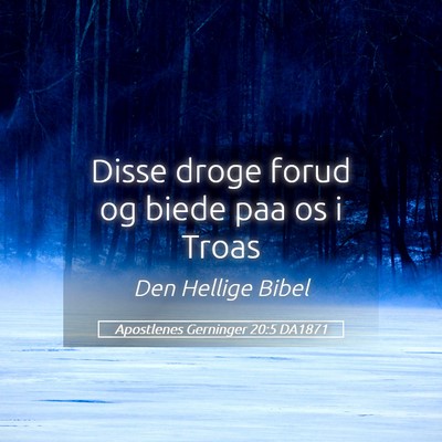 Picture 05 - Apostlenes Gerninger 20:5 DA1871 - Disse droge forud og biede paa os i - Bible Verse Picture