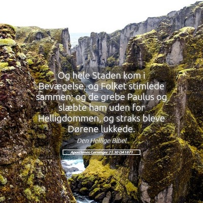 Picture 05 - Apostlenes Gerninger 21:30 DA1871 - Og hele Staden kom i Bevægelse, og Folket - Bible Verse Picture
