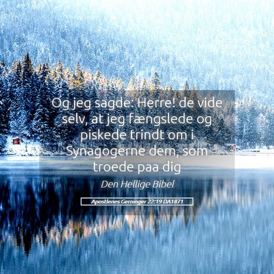 Picture 05 - Apostlenes Gerninger 22:19 DA1871 - Og jeg sagde: Herre! de vide selv, at jeg - Bible Verse Picture