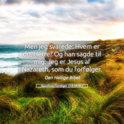 Picture 05 - Apostlenes Gerninger 22:8 DA1871 - Men jeg svarede: Hvem er du, Herre? Og han sagde - Bible Verse Picture