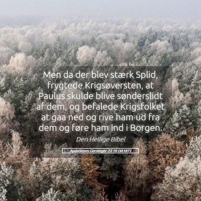 Picture 05 - Apostlenes Gerninger 23:10 DA1871 - Men da der blev stærk Splid, frygtede - Bible Verse Picture