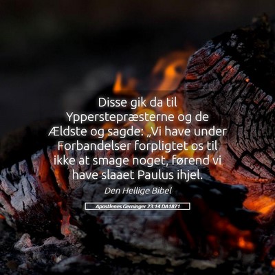 Picture 05 - Apostlenes Gerninger 23:14 DA1871 - Disse gik da til Ypperstepræsterne og de Ældste - Bible Verse Picture