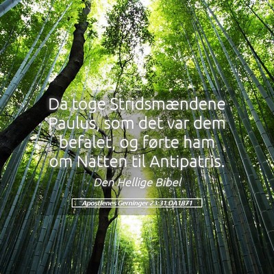 Picture 05 - Apostlenes Gerninger 23:31 DA1871 - Da toge Stridsmændene Paulus, som det var dem - Bible Verse Picture