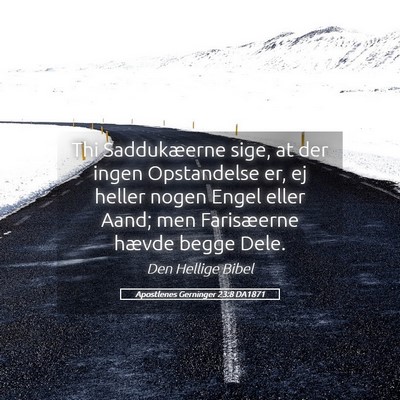 Picture 05 - Apostlenes Gerninger 23:8 DA1871 - Thi Saddukæerne sige, at der ingen Opstandelse - Bible Verse Picture