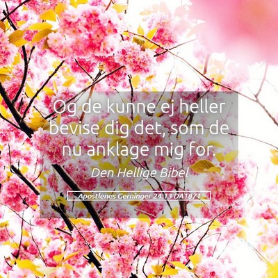 Picture 05 - Apostlenes Gerninger 24:13 DA1871 - Og de kunne ej heller bevise dig det, som de nu - Bible Verse Picture