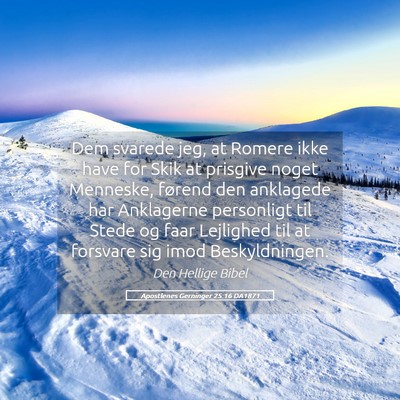 Picture 05 - Apostlenes Gerninger 25:16 DA1871 - Dem svarede jeg, at Romere ikke have for Skik at - Bible Verse Picture