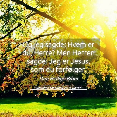 Picture 05 - Apostlenes Gerninger 26:15 DA1871 - Og jeg sagde: Hvem er du, Herre? Men Herren - Bible Verse Picture