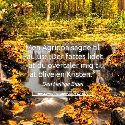 Picture 05 - Apostlenes Gerninger 26:28 DA1871 - Men Agrippa sagde til Paulus: „Der fattes lidet - Bible Verse Picture
