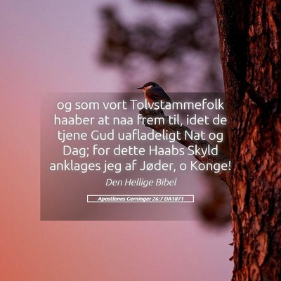 Picture 05 - Apostlenes Gerninger 26:7 DA1871 - og som vort Tolvstammefolk haaber at naa frem - Bible Verse Picture