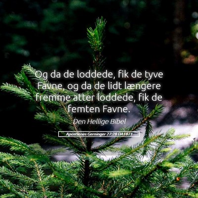 Picture 05 - Apostlenes Gerninger 27:28 DA1871 - Og da de loddede, fik de tyve Favne, og da de - Bible Verse Picture