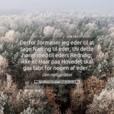 Picture 05 - Apostlenes Gerninger 27:34 DA1871 - Derfor formaner jeg eder til at tage Næring til - Bible Verse Picture