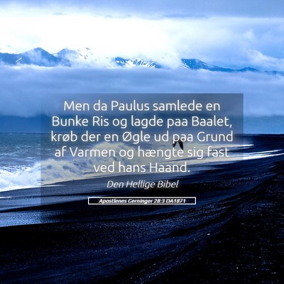 Picture 05 - Apostlenes Gerninger 28:3 DA1871 - Men da Paulus samlede en Bunke Ris og lagde paa - Bible Verse Picture