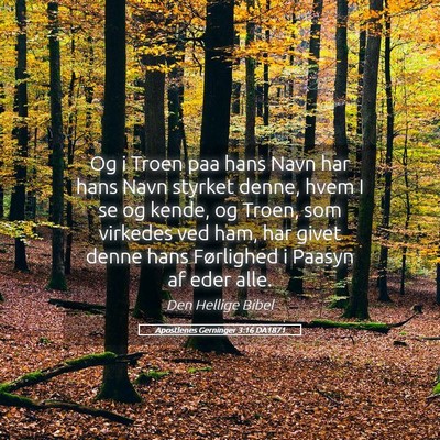 Picture 05 - Apostlenes Gerninger 3:16 DA1871 - Og i Troen paa hans Navn har hans Navn styrket - Bible Verse Picture