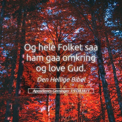 Picture 05 - Apostlenes Gerninger 3:9 DA1871 - Og hele Folket saa ham gaa omkring og love - Bible Verse Picture