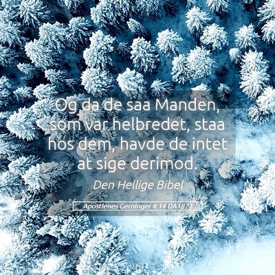 Picture 05 - Apostlenes Gerninger 4:14 DA1871 - Og da de saa Manden, som var helbredet, staa hos - Bible Verse Picture