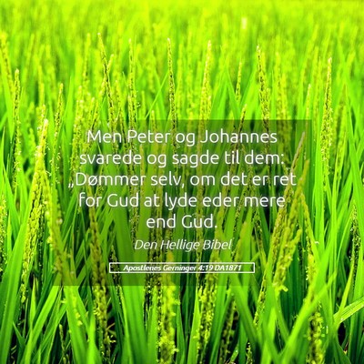 Picture 05 - Apostlenes Gerninger 4:19 DA1871 - Men Peter og Johannes svarede og sagde til dem: - Bible Verse Picture