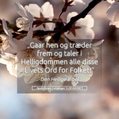 Picture 05 - Apostlenes Gerninger 5:20 DA1871 - „Gaar hen og træder frem og taler i - Bible Verse Picture