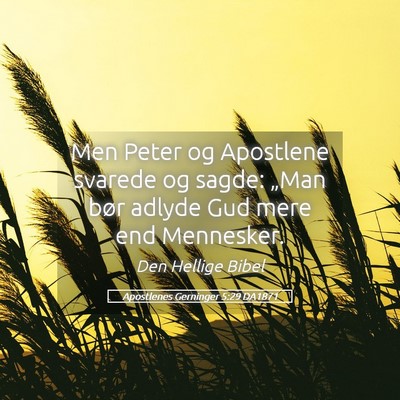 Picture 05 - Apostlenes Gerninger 5:29 DA1871 - Men Peter og Apostlene svarede og sagde: „Man - Bible Verse Picture