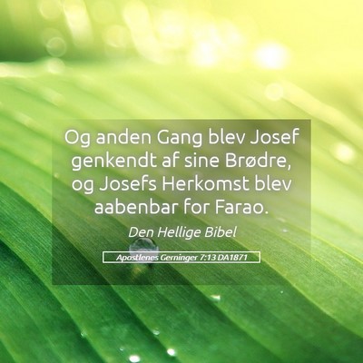 Picture 05 - Apostlenes Gerninger 7:13 DA1871 - Og anden Gang blev Josef genkendt af sine - Bible Verse Picture