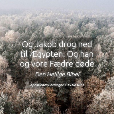 Picture 05 - Apostlenes Gerninger 7:15 DA1871 - Og Jakob drog ned til Ægypten. Og han og vore - Bible Verse Picture