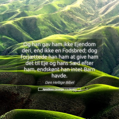 Picture 05 - Apostlenes Gerninger 7:5 DA1871 - Og han gav ham ikke Ejendom deri, end ikke en - Bible Verse Picture