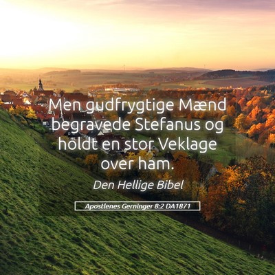 Picture 05 - Apostlenes Gerninger 8:2 DA1871 - Men gudfrygtige Mænd begravede Stefanus og holdt - Bible Verse Picture