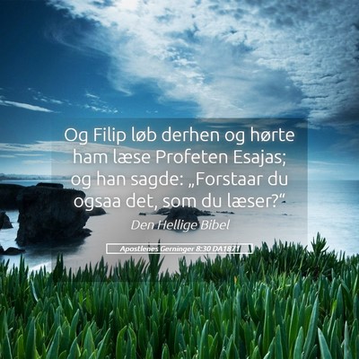 Picture 05 - Apostlenes Gerninger 8:30 DA1871 - Og Filip løb derhen og hørte ham læse Profeten - Bible Verse Picture
