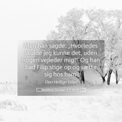 Picture 05 - Apostlenes Gerninger 8:31 DA1871 - Men han sagde: „Hvorledes skulde jeg kunne det, - Bible Verse Picture