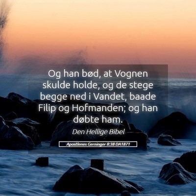Picture 05 - Apostlenes Gerninger 8:38 DA1871 - Og han bød, at Vognen skulde holde, og de stege - Bible Verse Picture