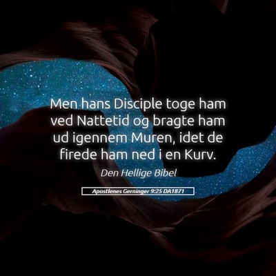 Picture 05 - Apostlenes Gerninger 9:25 DA1871 - Men hans Disciple toge ham ved Nattetid og bragte - Bible Verse Picture