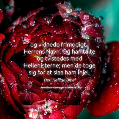 Picture 05 - Apostlenes Gerninger 9:29 DA1871 - og vidnede frimodigt i Herrens Navn. Og han talte - Bible Verse Picture