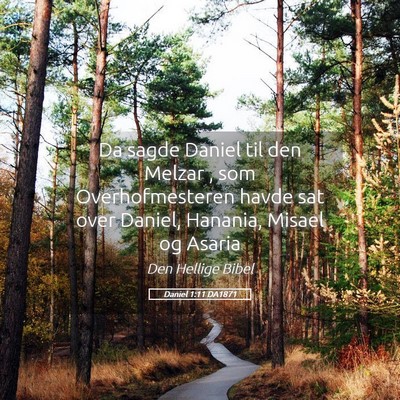 Picture 05 - Daniel 1:11 DA1871 - Da sagde Daniel til den Melzar , som - Bible Verse Picture