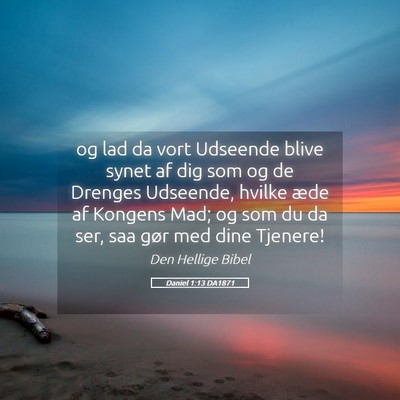 Picture 05 - Daniel 1:13 DA1871 - og lad da vort Udseende blive synet af dig som og - Bible Verse Picture