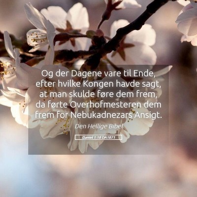 Picture 05 - Daniel 1:18 DA1871 - Og der Dagene vare til Ende, efter hvilke Kongen - Bible Verse Picture