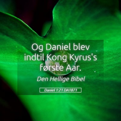 Picture 05 - Daniel 1:21 DA1871 - Og Daniel blev indtil Kong Kyrus's første - Bible Verse Picture