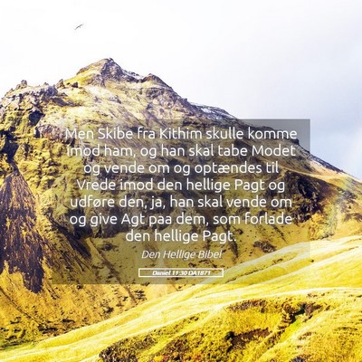 Picture 05 - Daniel 11:30 DA1871 - Men Skibe fra Kithim skulle komme imod ham, og - Bible Verse Picture