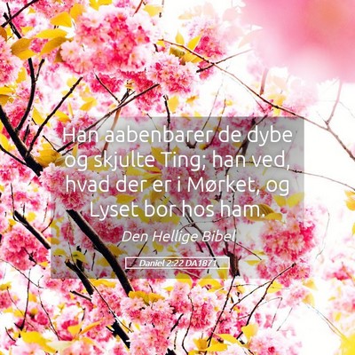 Picture 05 - Daniel 2:22 DA1871 - Han aabenbarer de dybe og skjulte Ting; han ved, - Bible Verse Picture