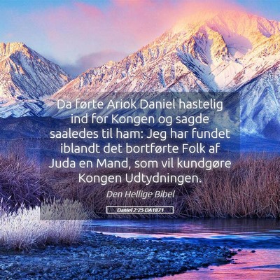 Picture 05 - Daniel 2:25 DA1871 - Da førte Ariok Daniel hastelig ind for Kongen og - Bible Verse Picture