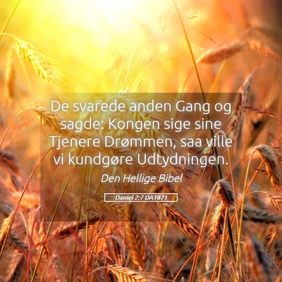 Picture 05 - Daniel 2:7 DA1871 - De svarede anden Gang og sagde: Kongen sige sine - Bible Verse Picture